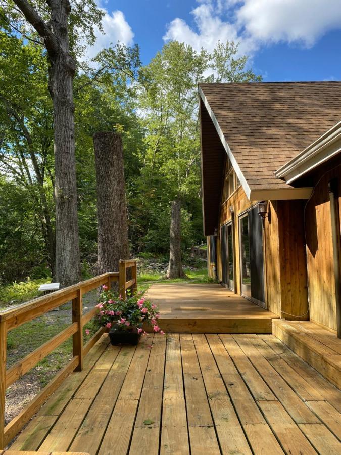 Secluded Chalet On Stream-Mins To Camelback 坦纳斯维尔 外观 照片