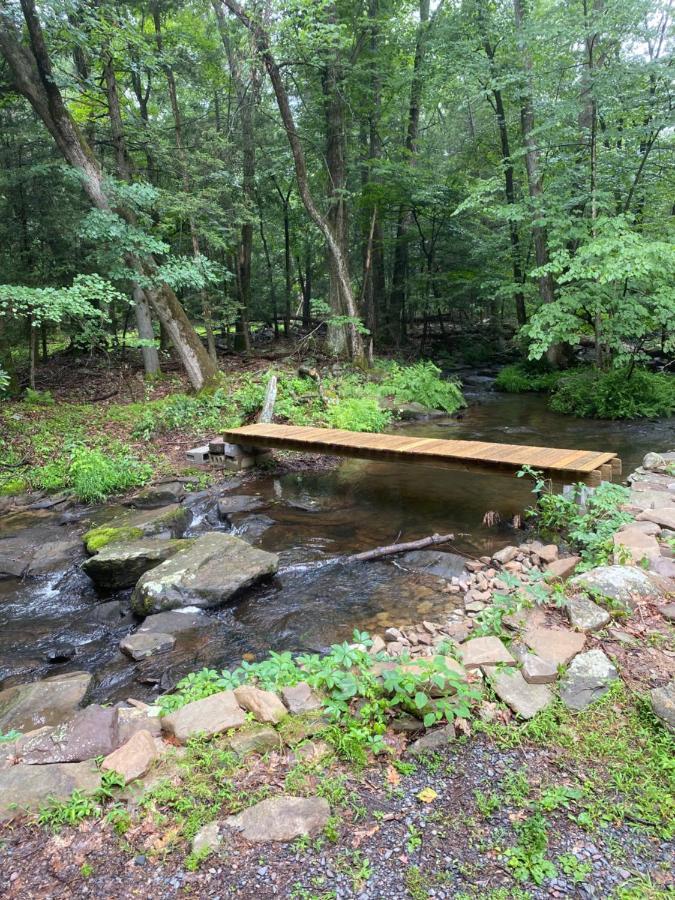 Secluded Chalet On Stream-Mins To Camelback 坦纳斯维尔 外观 照片